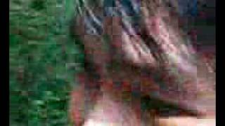 VID000