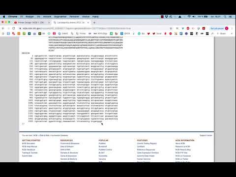 Primer Design Using NCBI #1 (Eng)