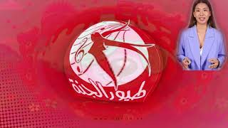 Download lagu Toyor Al Janah Oldest Intro Logo Effect | Sponsored By Klasky Csupo 2001 Effects   Revision mp3