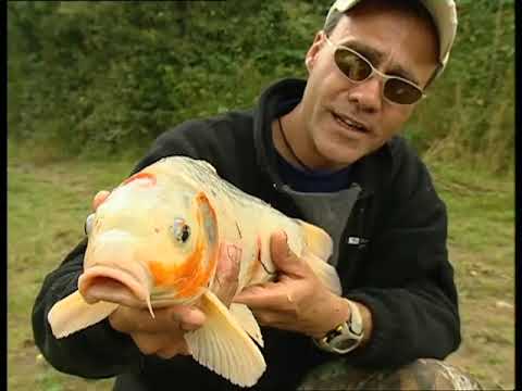 The Great Rod Race| Full Episodes 3 and 4