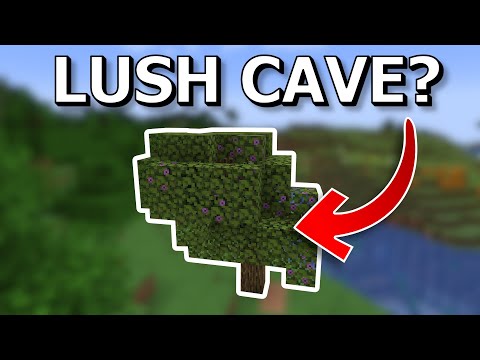 How to Find Lush Caves in Minecraft 1.18 (Fastest method)