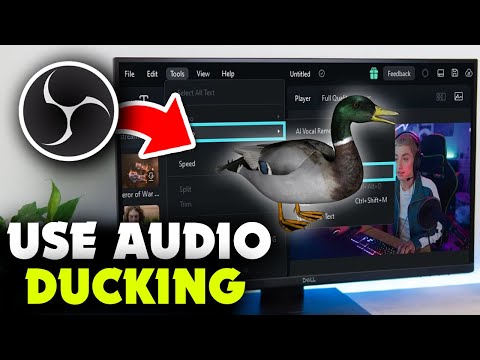 How to Use Audio Ducking in OBS