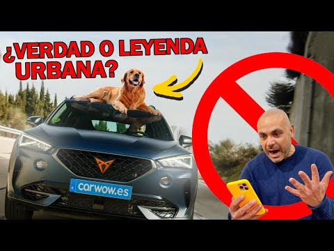 RANKING: LAS 15 NORMAS DE TRÁFICO MÁS ABSURDAS DEL MUNDO
