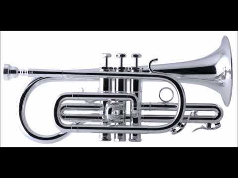 Napoli / Bellstedt, arr. Owenson