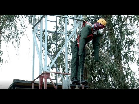 Mannequin d'entraînement Travail en Hauteur / LSPCC