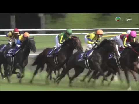 2016 安田紀念賽 Yasuda Kinen 安田記念 標誌名駒 Logotype ロゴタイプ