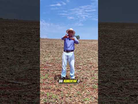 Curso de Plantas daninhas em Jatai-Goias #jatai #agro #soja #milho