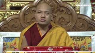 第十七世法王噶瑪巴開示《解脫莊嚴論》9/11