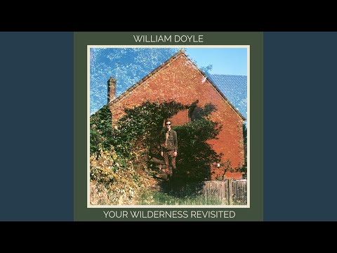 Thousands of Hours of Birds