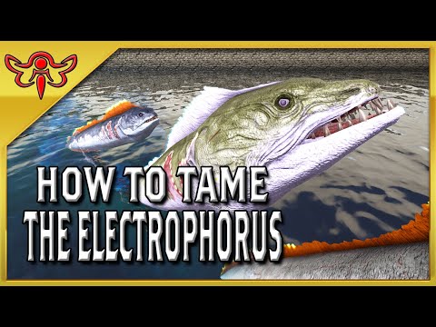 ARK: Survival Evolved Tutorial - How to Tame the Electrophorus