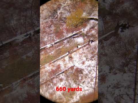 2022 Elk season was a success 660 yards with a 6.5 PRC 127gr Barnes LRX