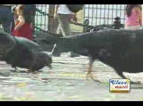 JINETES DEL AMOR - ALEGRIA -  TUS ENGAÑOS