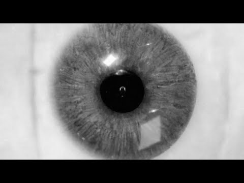 The Plot In You - Divide (Official Visualizer)