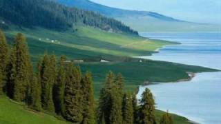 armandinho - semente