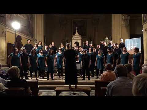 Sarba Pe Scaun - Vancouver Youth Choir | Europe 2018