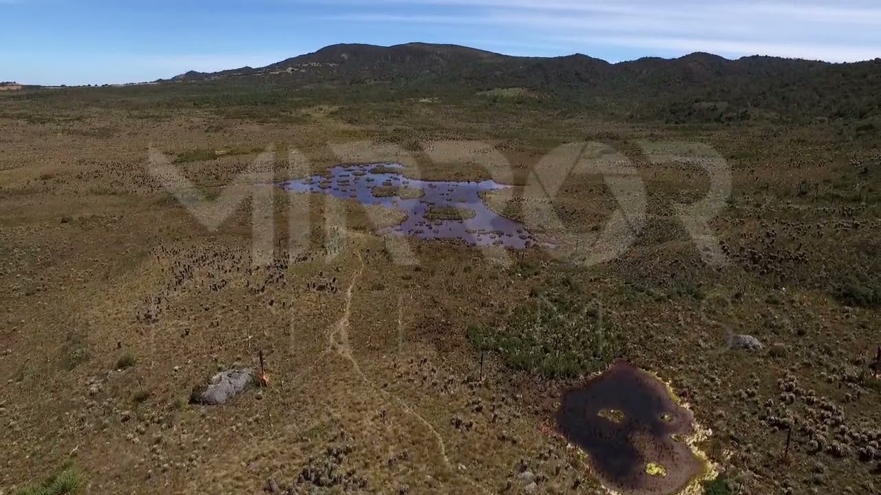 Nacimiento río Bogotá P2