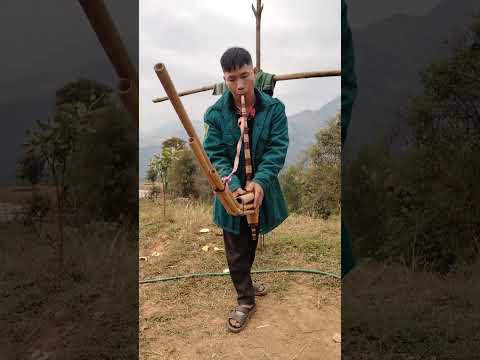 Qeej 6 dlos qeej tuam cuaj