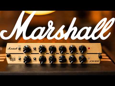 Synergy Marshall JCM 800 2-Channel Preamp Module 2026 - Present - Gold image 7