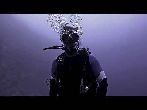 In private with Tigers !