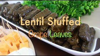 How to Make Lentil Stuffed Grape Leaves | Vegetarian Stuffed Grape Leaves | Authentic Recipe