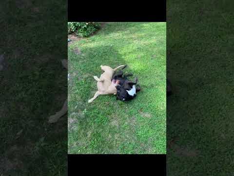 Just one look at you and I know it’s gonna be…