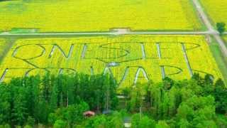 On the Hill Where Sunflowers Bloom (Hokuryu Junior High School H25 Graduates' Original Chorus) - Hokuryu Town Portal (Hokkaido) - Japan's No. 1 Sunflower Village