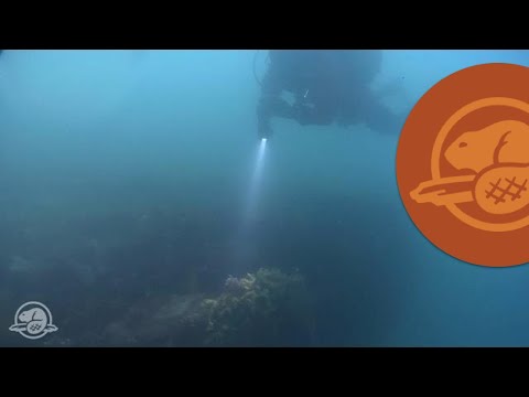 Finding HMS Erebus