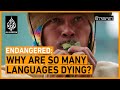 Endangered Why Are So Many Languages Dying The Stream