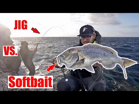 The BEST Lure!!! DENTEX Shore Jigging