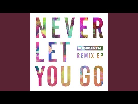 Never Let You Go (feat. Foy Vance) (Don Diablo Remix)