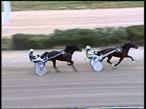 Trotto 29/01/2015 -  2° Prova di Riqualifica