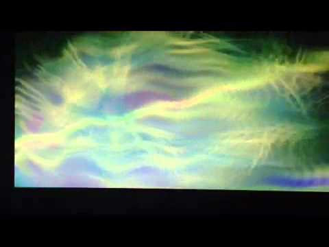 SOCIAL BONDING WAYNE MCARTHUR