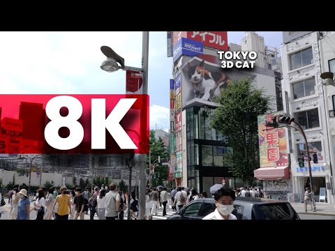 東京的8K三維CAT | 新宿街景 (Tokyo's 3D CAT in 8K | Shinjuku Street View)