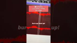 4年半ぶりに #歌ってみた #Chinozo #ショットガンナウル