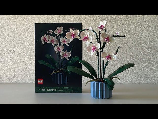 Vídeo relacionado con LEGO Botanicals Orchid - Artificial Plant Set for Adults Incl. Faux Flowers and a Buildable Vase - Home Office Decor - Gift Idea for Women and Men - 10311