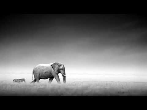 Bach - G Minor - Luo Ni