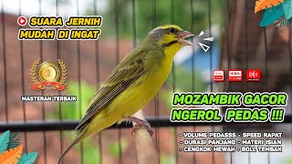 Download lagu Mozambik GACOR‼️ Cocok untuk Masteran dan Materi ISIAN KENARI #04 mp3