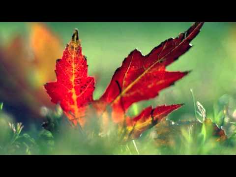 BlattGeflüster - Deep Tech House  Mix - Oktober 2013 -