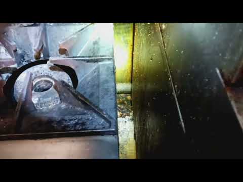 Grease in the Kitchen Causes Fruit Flies in the Restaurant in Trenton, NJ