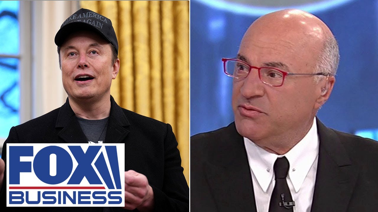 'AGENT OF AUDIT': O’Leary urges Elon Musk’s DOGE to ‘keep the barbecue going’