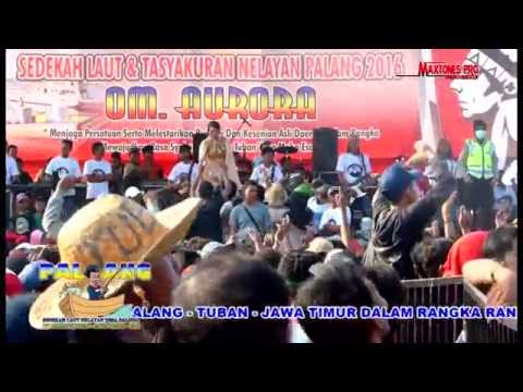 OM AURORA PALANG 2016 - SELANGKUNG RONG LANGKUNG - DEVI ALDIVA