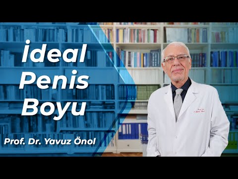 İdeal Penis Boyu Nedir? Penis Uzunluğu ve Kalınlığı Ne Olmalıdır? Prof. Dr. Yavuz Önol