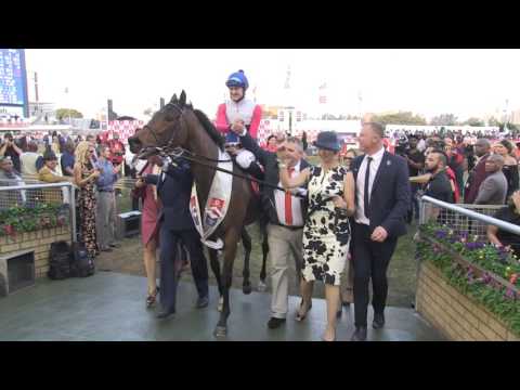 VDJ 2017 MARINARESCO WINNER