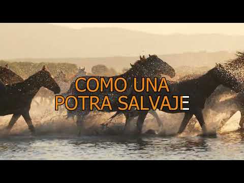 Isabel Aaiún - Potra salvaje - KARAOKE
