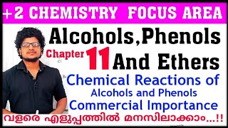 Chemical reactions of Alcohols and Phenols Plus two chemistry chapter 11 focus area / Lucas Test