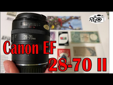 Video thumbnail for Video Review 1