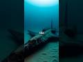 This SR-71 Blackbird Was Buried At Sea!