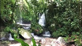 【コラム用動画】　バリ島：ジャティルイ近くの滝