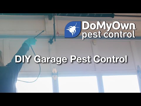  DIY Garage Pest Control Video 