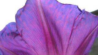 John Wesley Harding - Negative Love (Live)